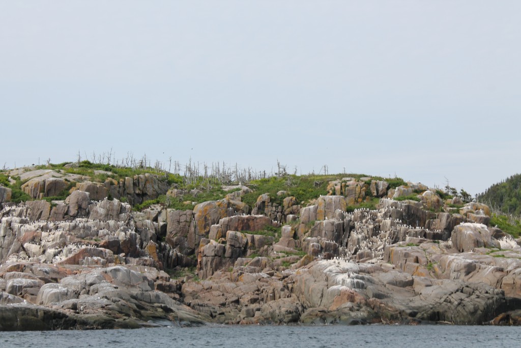 Sept-Îles