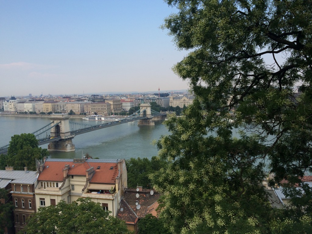 La vue de Buda, la sage.