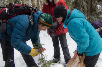 Photo: Julie Moffet pour la Forêt Montmorency