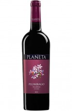 alt="planeta-plumbago"