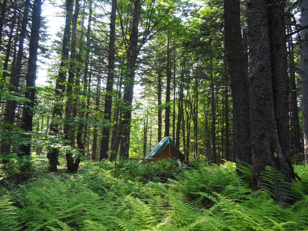 La tente Bonaventure. Photo: Marie-Julie Gagnon