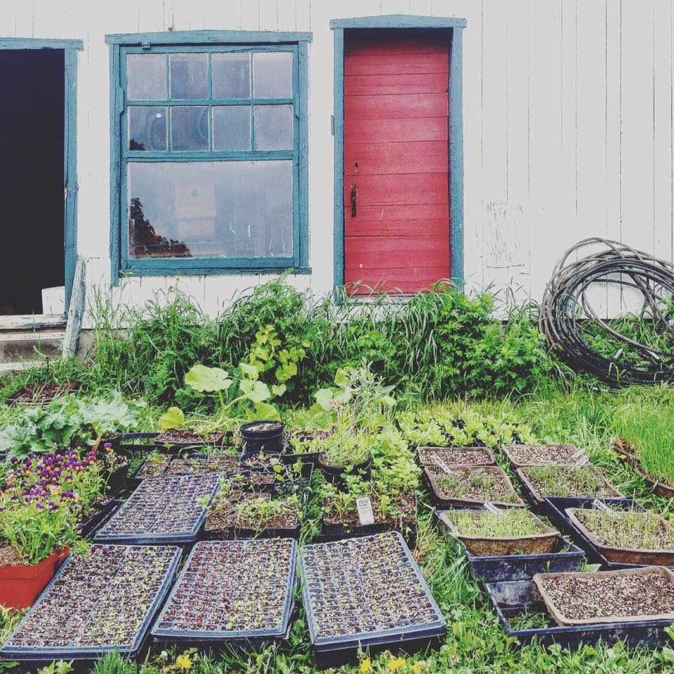 Aperçu du jardin du Panache de l'Auberge Saint-Antoine, île d'Orléans. Photo: Véronique Leduc