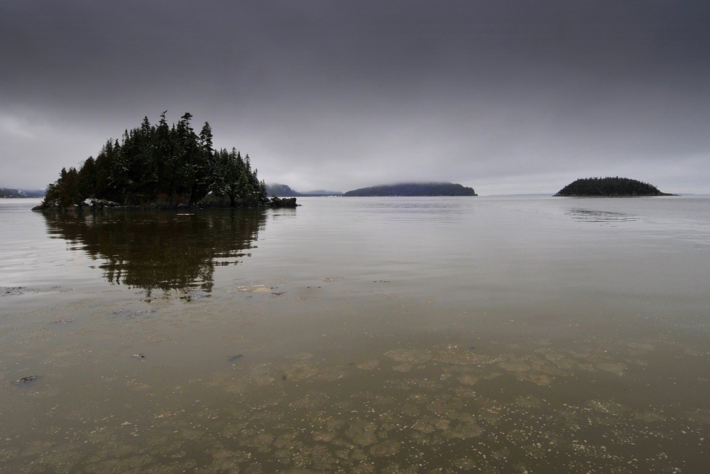 Photo: Facebook Parc national du Bic