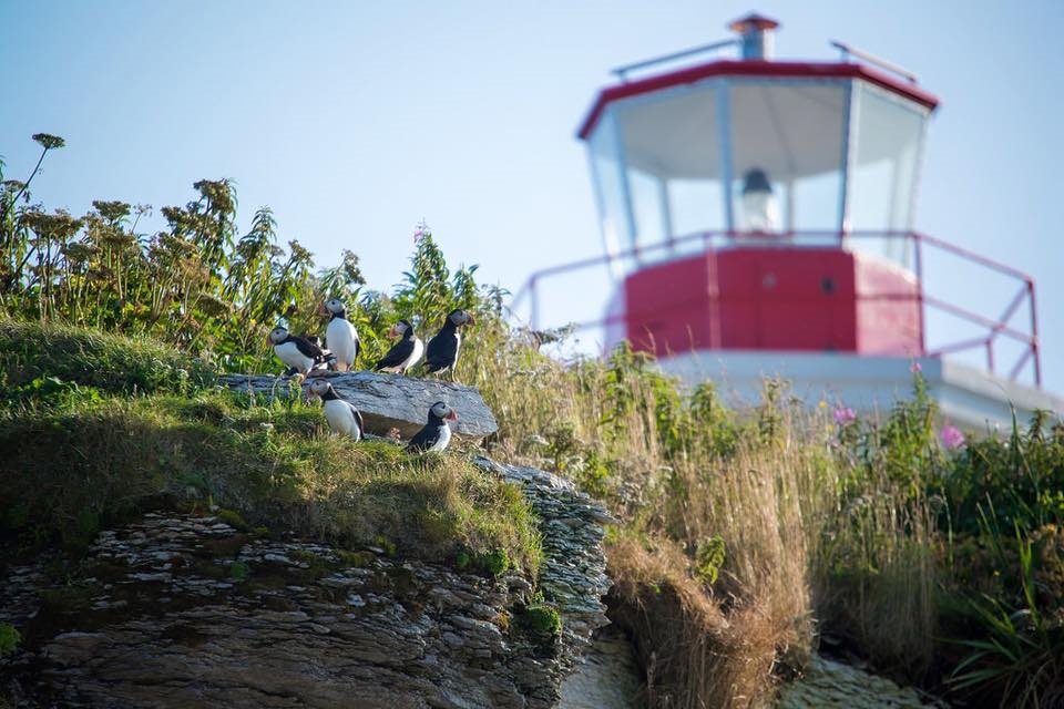 Photo: Facebook Auberge de l'île aux Perroquets.