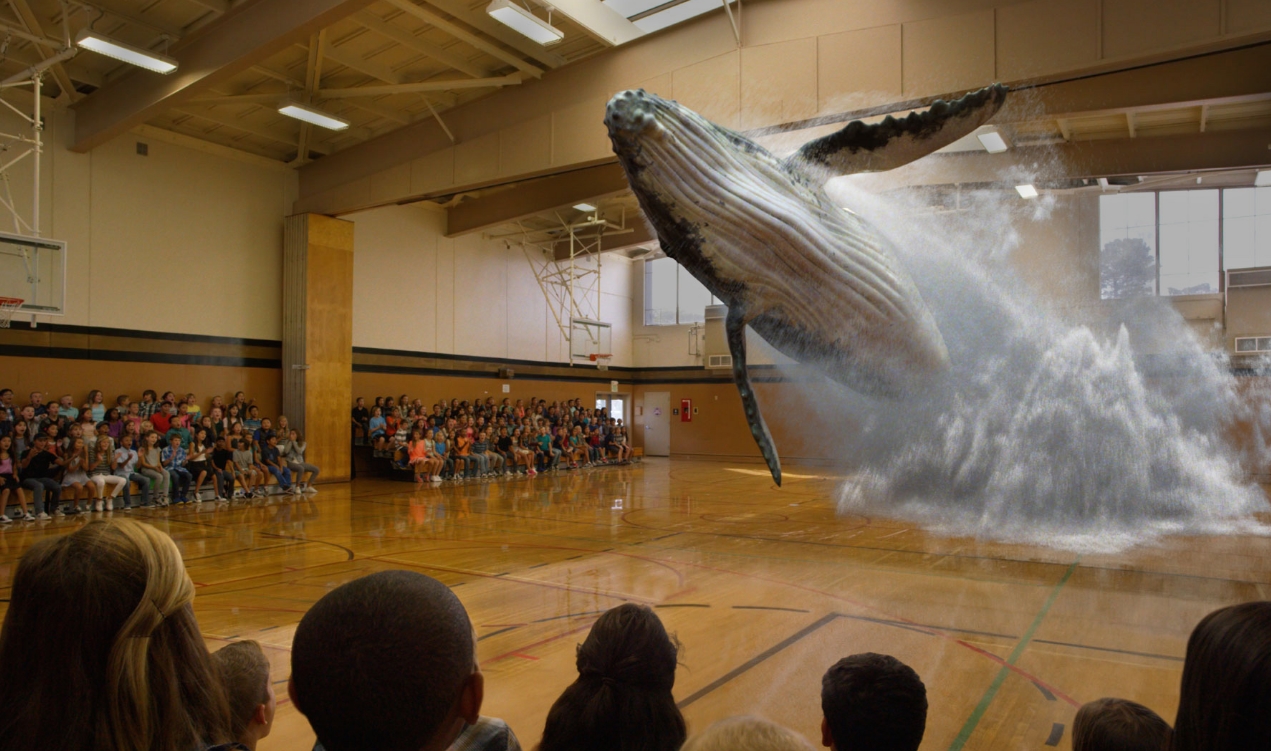 Photo: Facebook Magic Leap