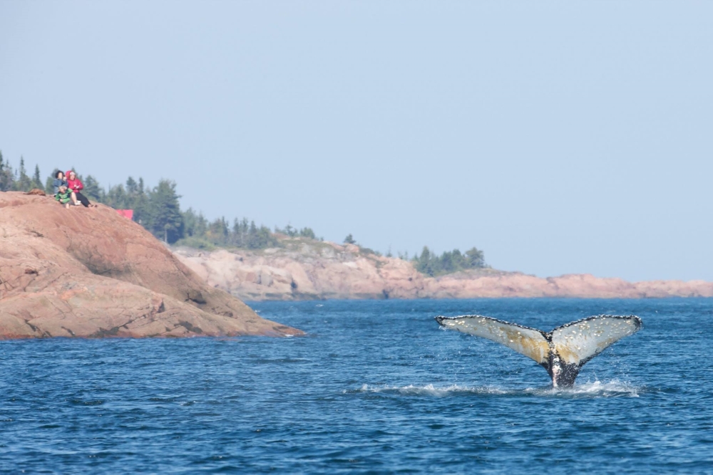 Sur la route des Baleines. Photo: Facebook Tourisme Québec.