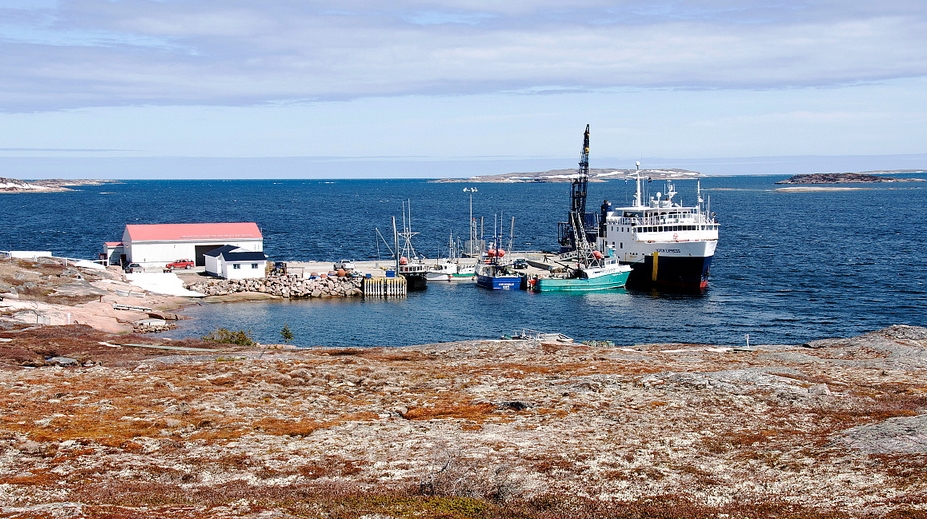 Tête-à-la-baleine. Photo: Claude Robillard, flickr.