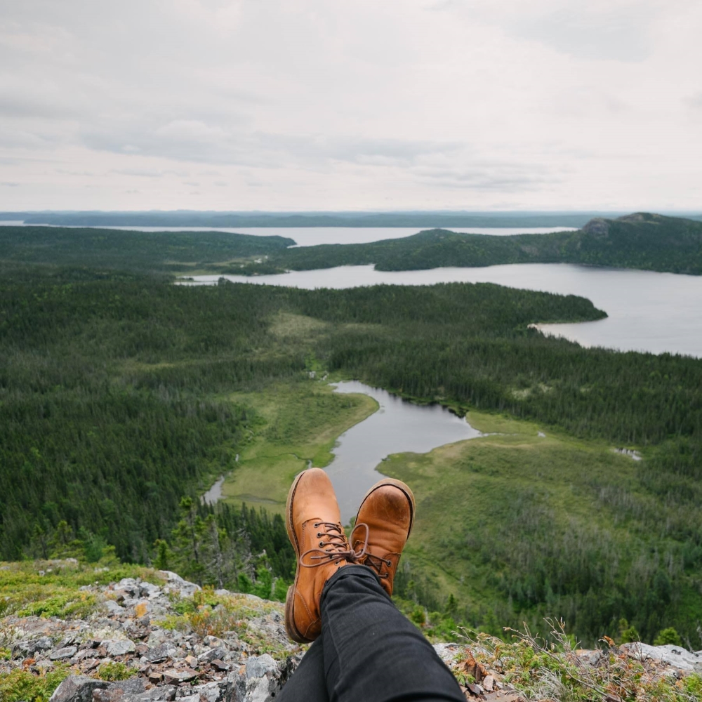 Photo: Facebook Parc national Terra-Nova.