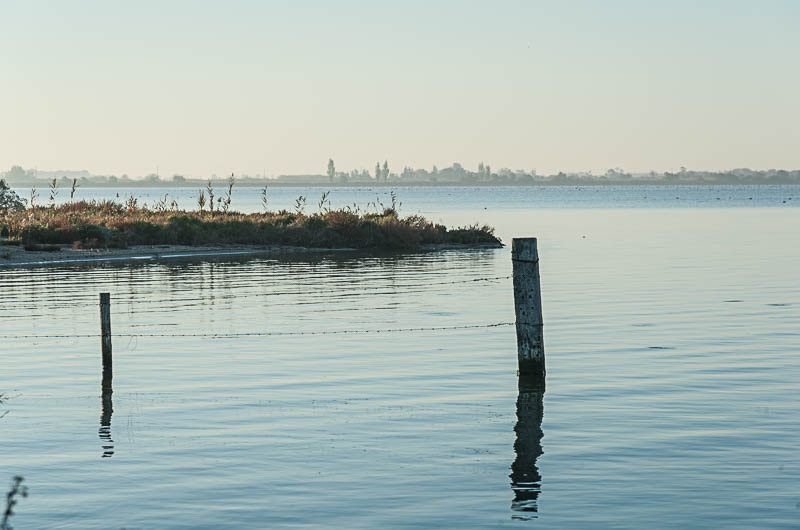 Étang du Vaccarès, Camargue. Photo: Jacqueline Poggi, Flickr