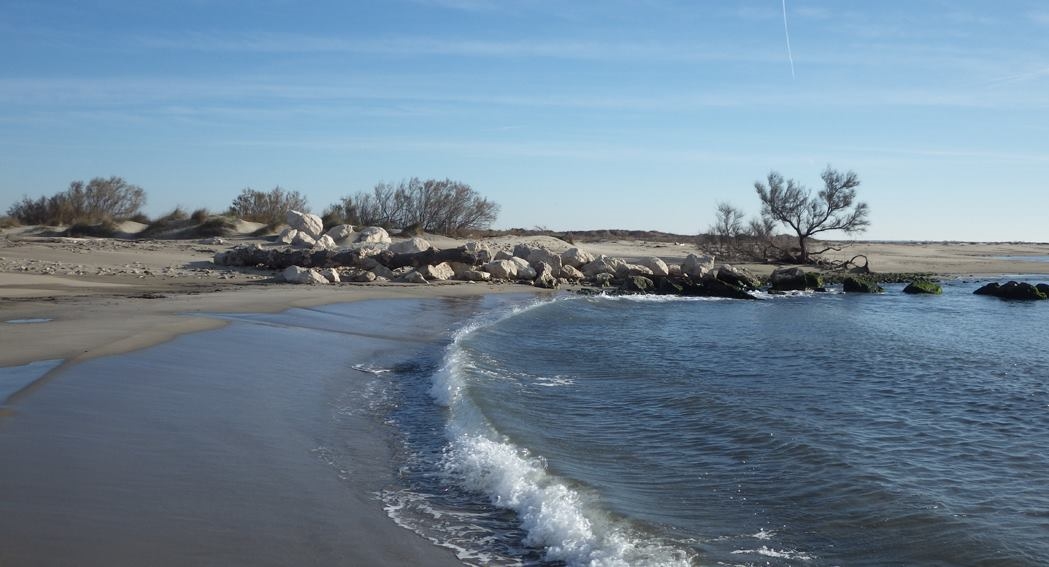 Photo: Facebook Réserve Naturelle Nationale de Camargue.