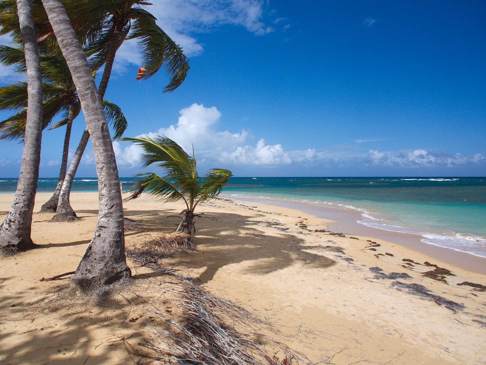 Las Terrenas, République Dominicaine. Photo: Šarūnas Burdulis, Flickr