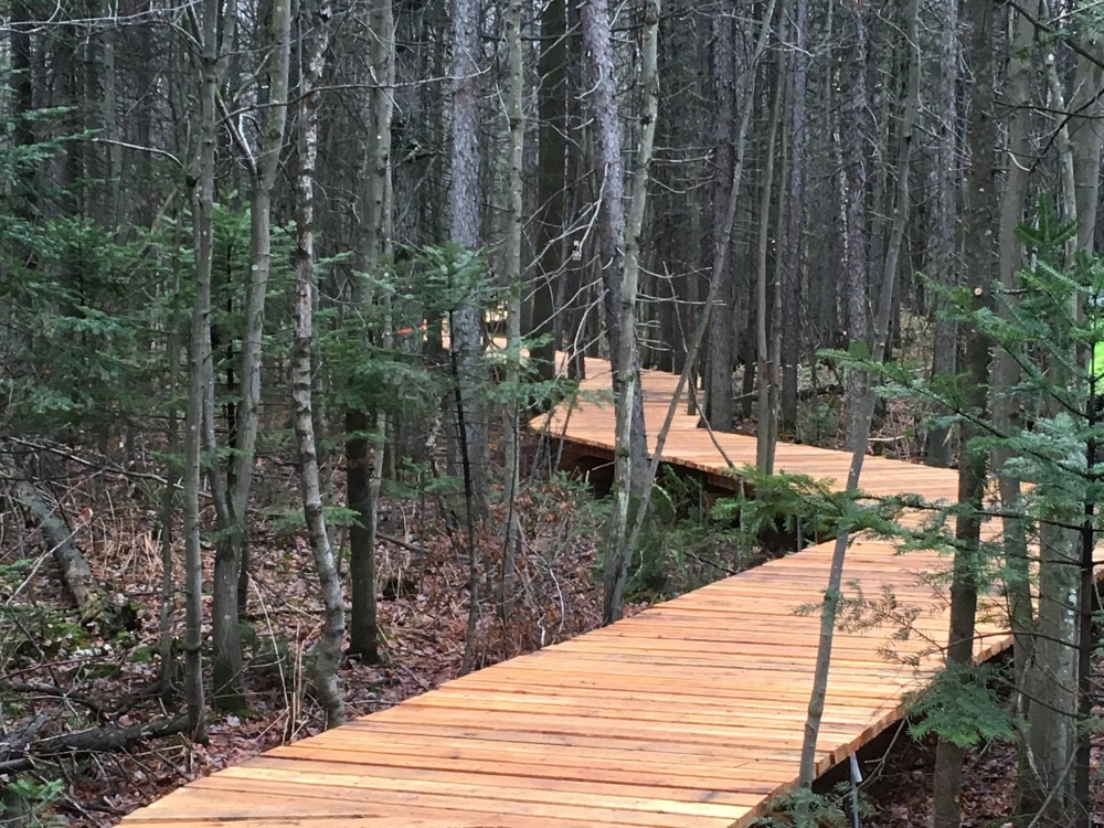 La nouvelle passerelle qui sillonne le parc. Photo: Facebook Parc régional des Grèves