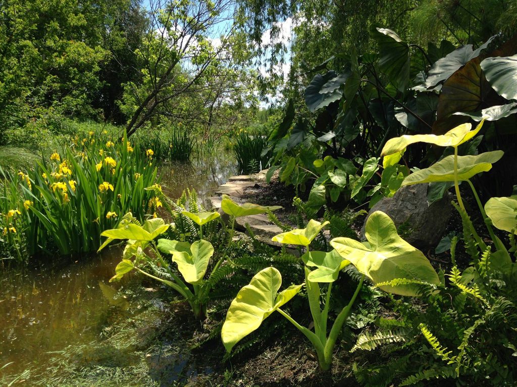 Photo: Facebook Parc Marie-Victorin