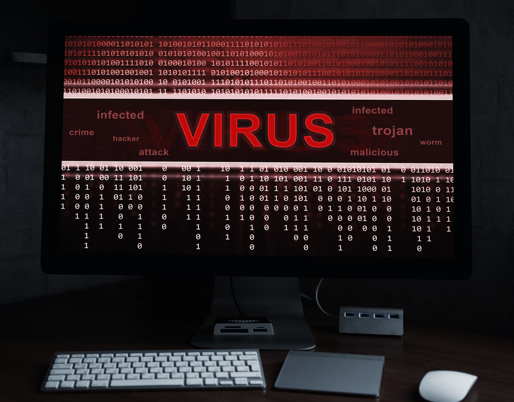 computer virus programm on a monitor screen