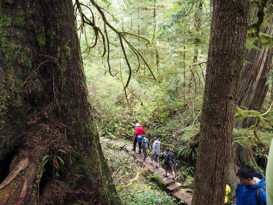 Photo: Marie-Julie Gagnon Excursion avec guides autochtones 