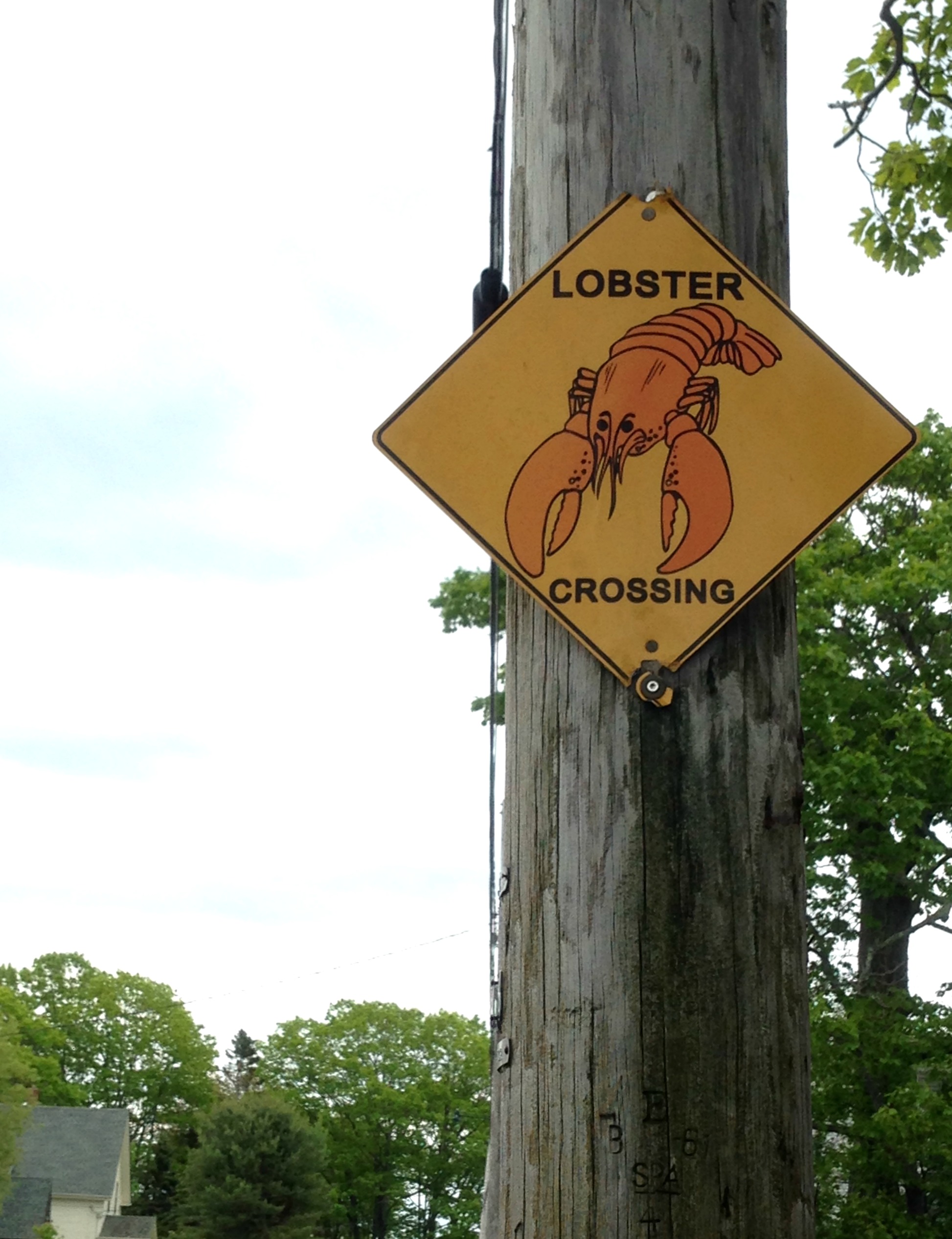 Photo: Véronique Leduc Cape Porpoise, on réserve même une traverse aux homards!