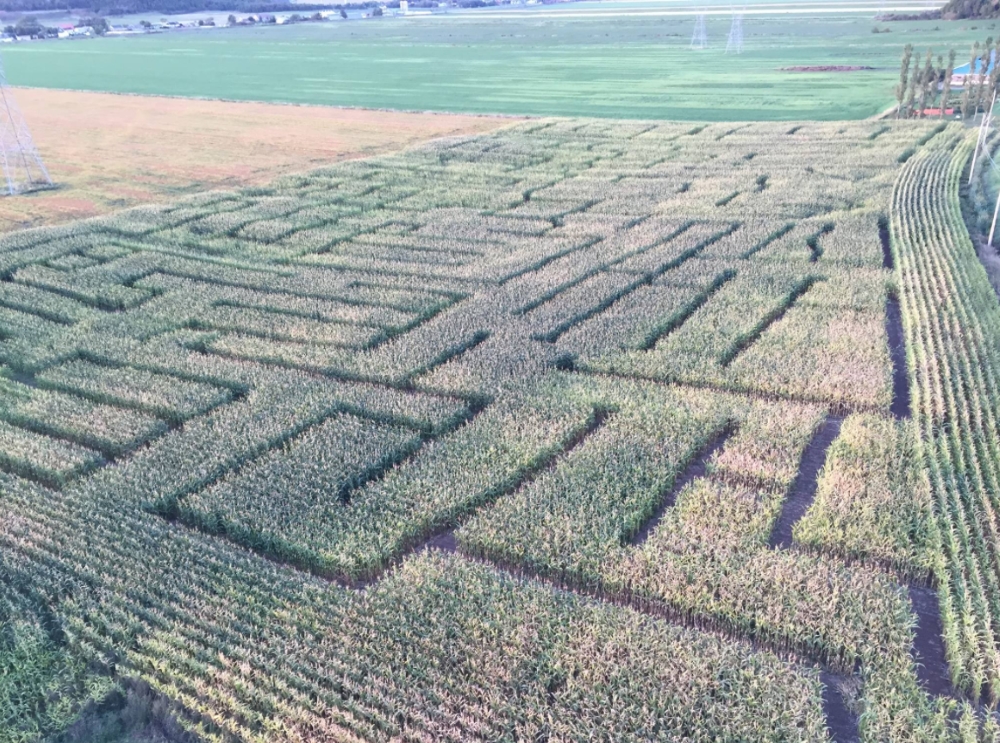 Photo: Facebook Grand labyrinthe de Sainte-Anne