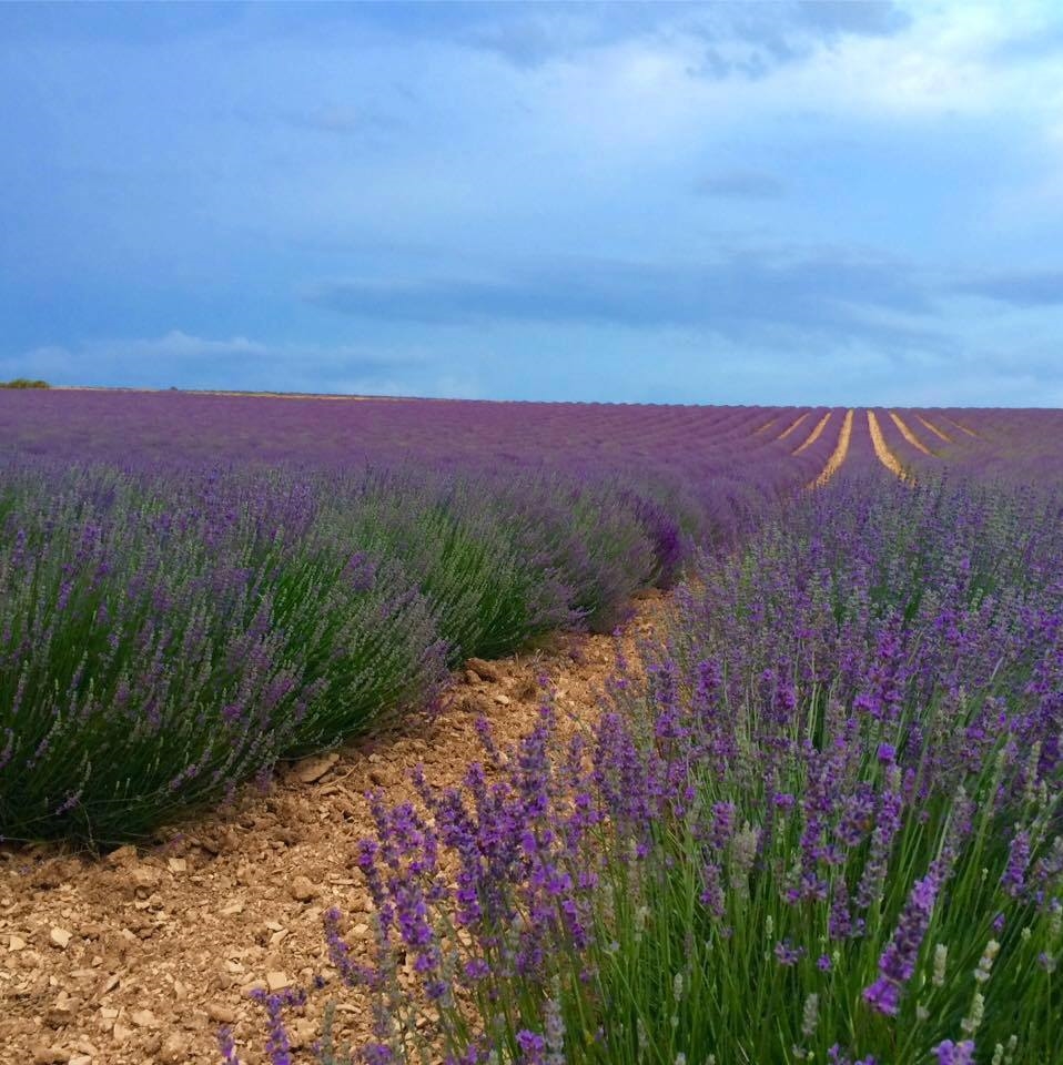 Photo: Facebook OTI Ventoux Sud