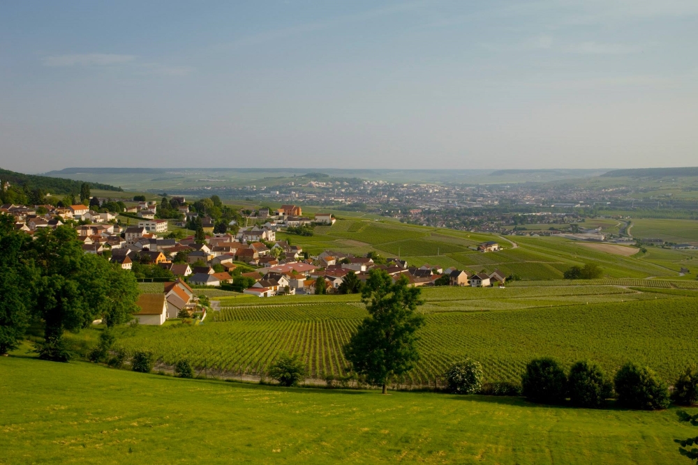 Vue du Royal Champagne. Photo: Facebook Royal Champagne