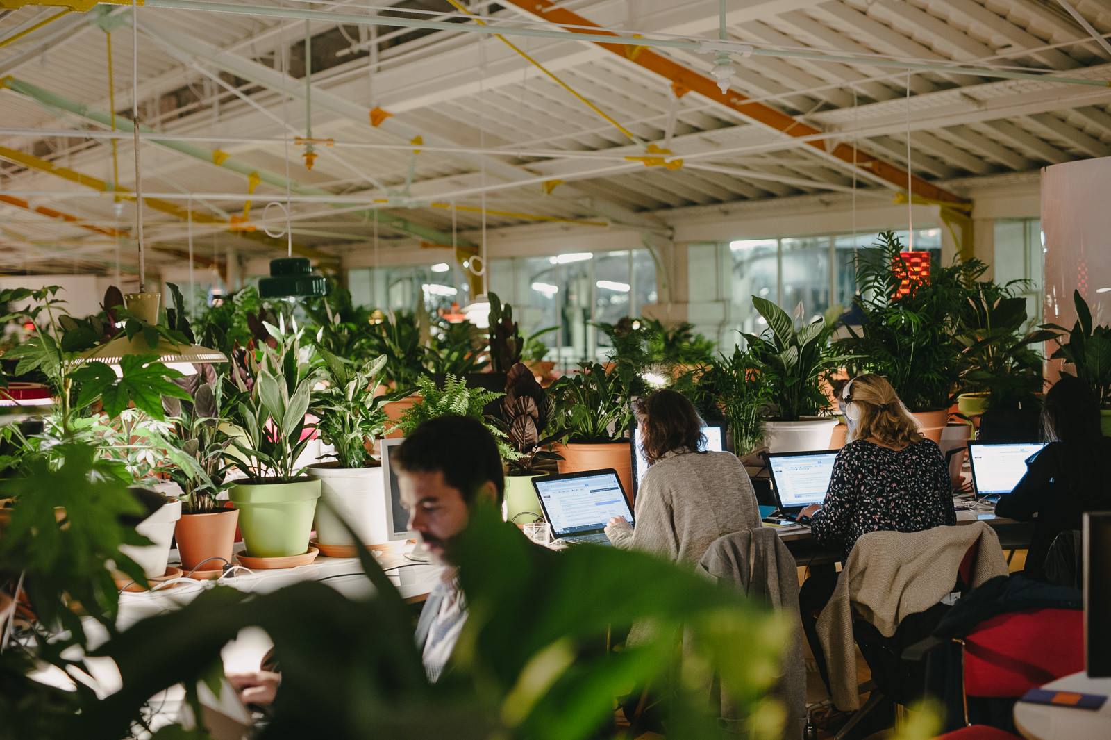 Photo: Facebook Second Home Un espace de co-cowoking sympathique et verdoyant.