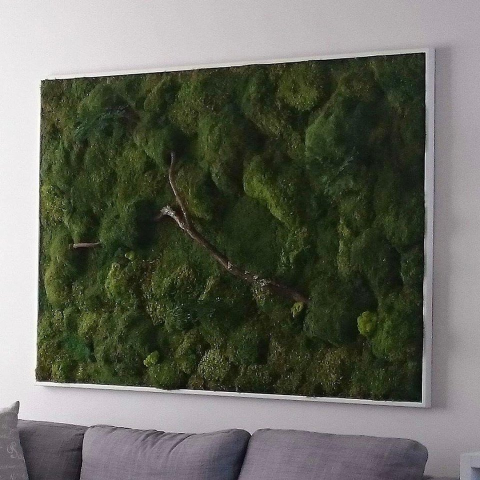 Photo: Facebook Folia Design Cadre végétal, une tendance en design vert