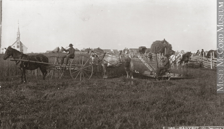 Photo: Livernois. Don de M. Stanley G. Triggs. © Musée McCord