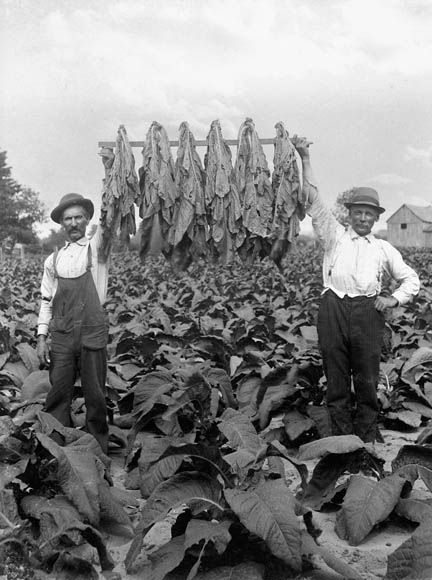 Photo: Bibliothèque et Archives Canada