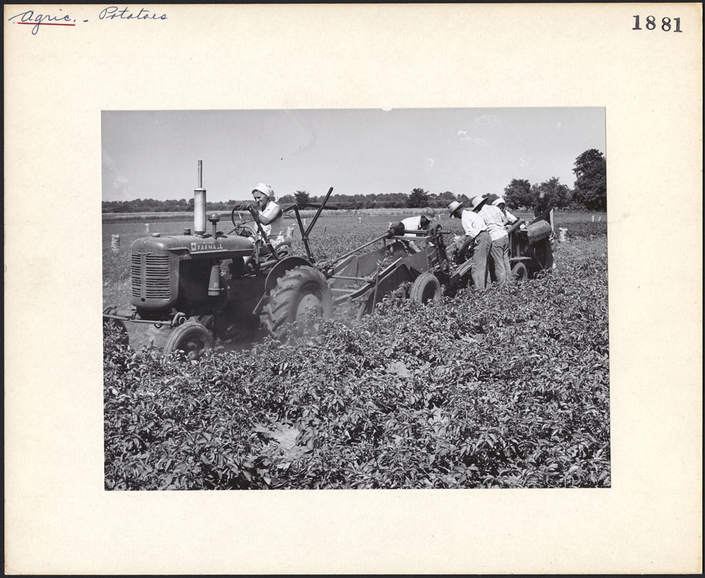 Photo: Bibliothèque et Archives Canada