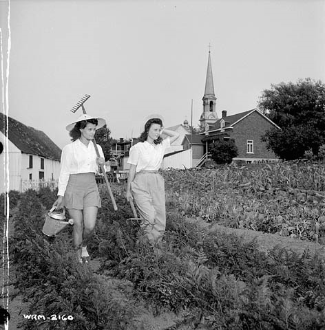 Photo: Harry Rowed. Bibliothèque et Archives Canada