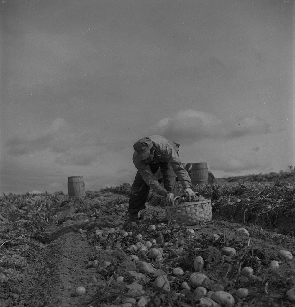 Photo: Bibliothèque et Archives Canada