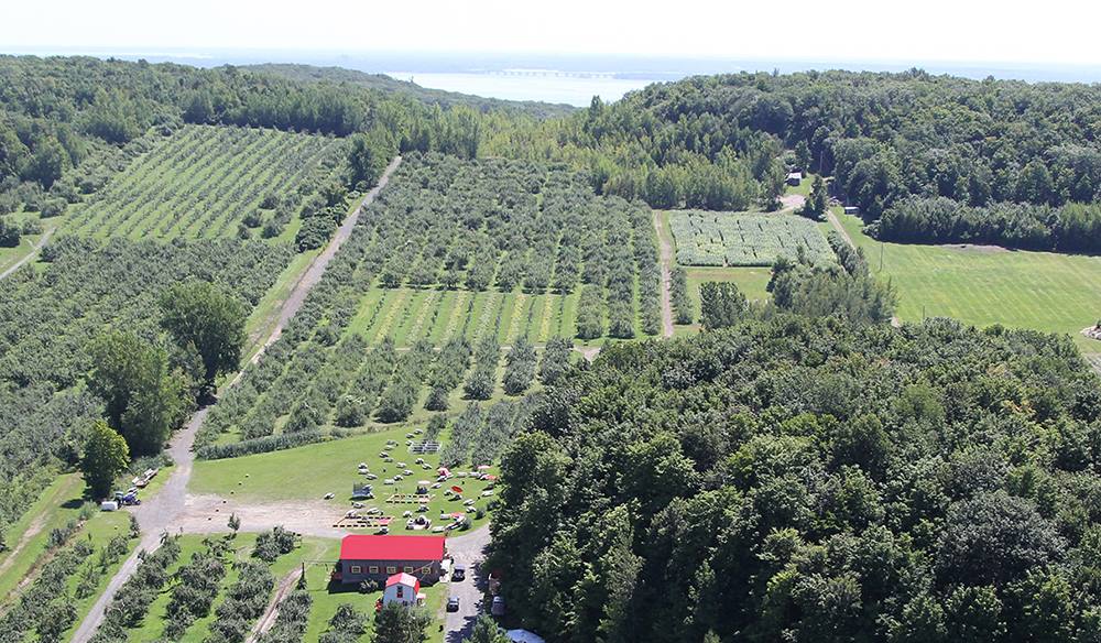 Des sentiers et des pommes dans un verger. Ça sent bon l'automnne. Photo: Facebook Labonté de la pomme