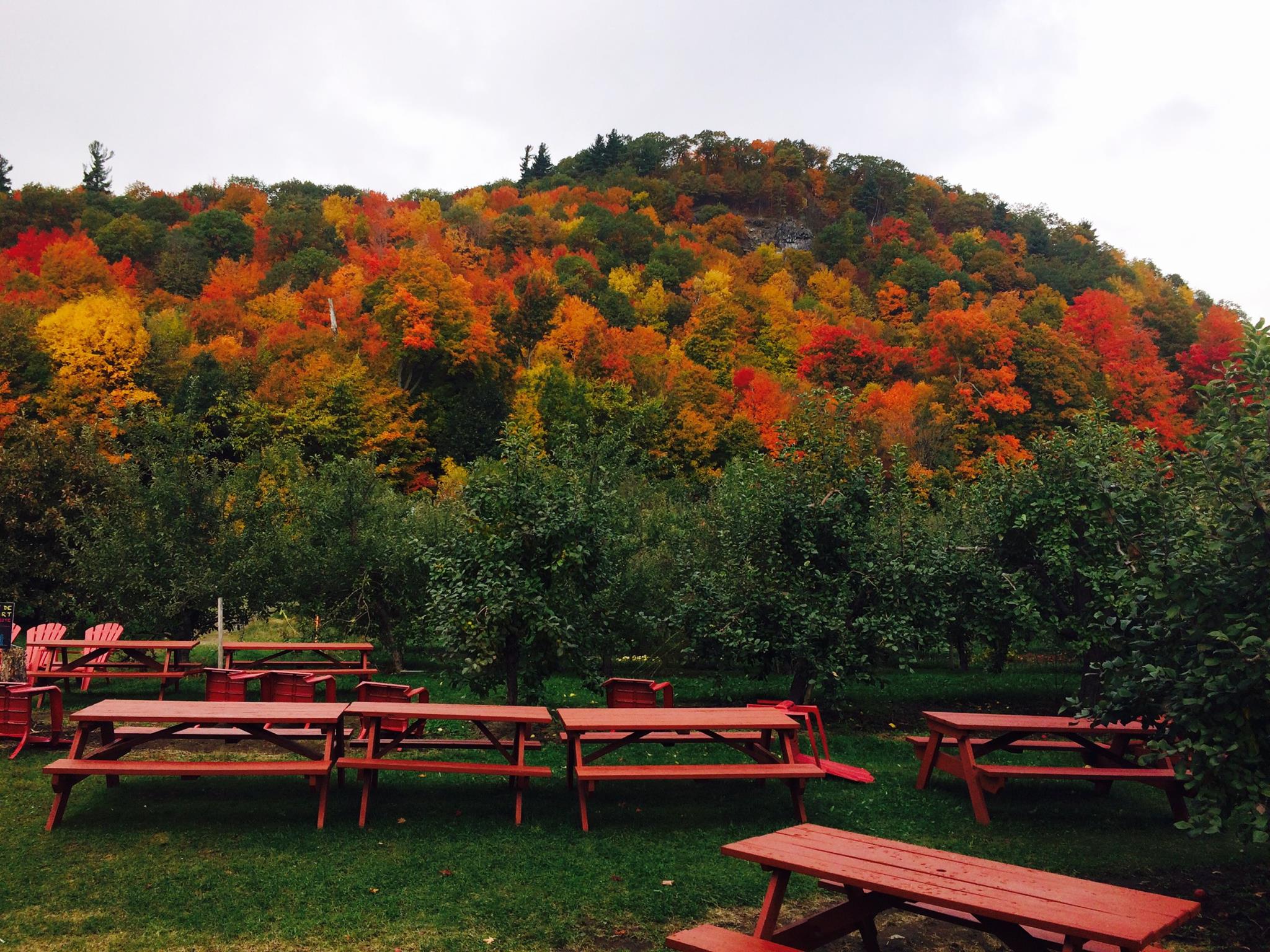 Tout l'automne, les sentiers de randonnée accessibles à la Cidrerie Michel Jodoin offrent de magnifiques points de vue Photo: Facebook Cidrerie Michel Jodoin