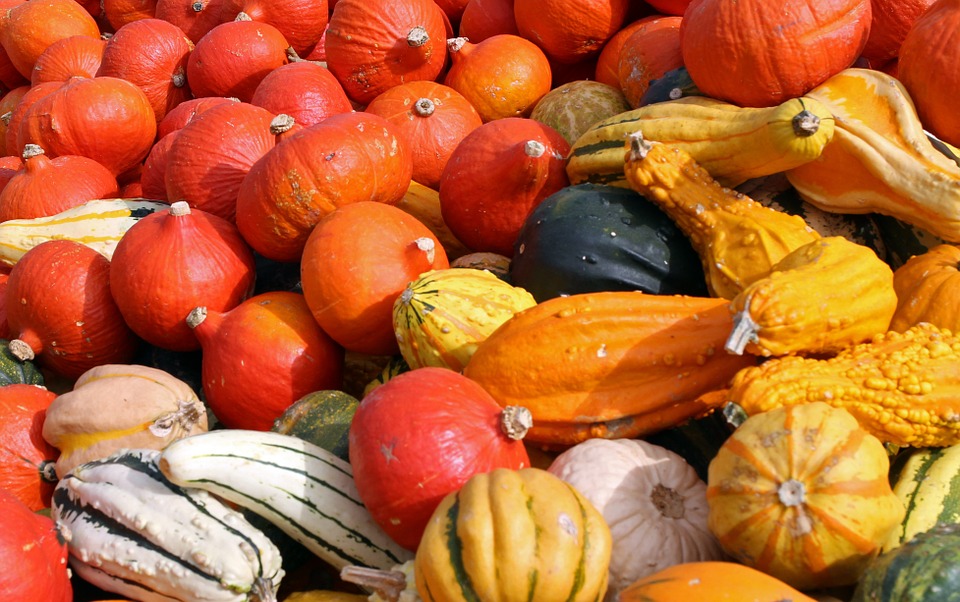 Les citrouilles et courges du Québec des aliments hauts en couleurs et en saveurs Photo: Pixabay