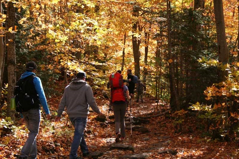 Randonnée dans les sentiers du parc national d'envrionnement Sutton. Photo: Facebook Parc national d'environnement Sutton.