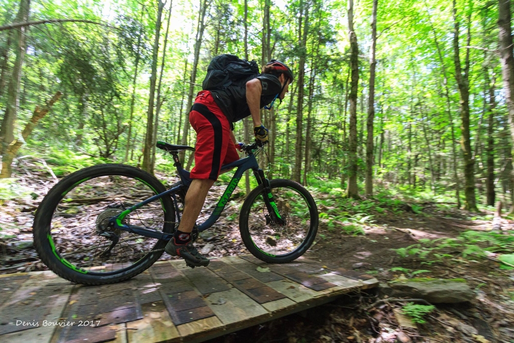 Vélo de montagne dans les sentiers de Plein Air Sutton. Photo: Denis Bouvier, page Facebook Plein Air Sutton