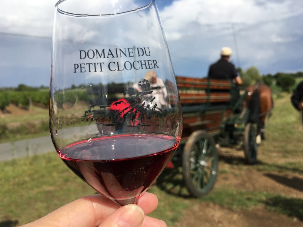 Un tour de calèche à travers les vignes du Domaine du Petit Clocher, à Cléré. Photo: Marie-Julie Gagnon