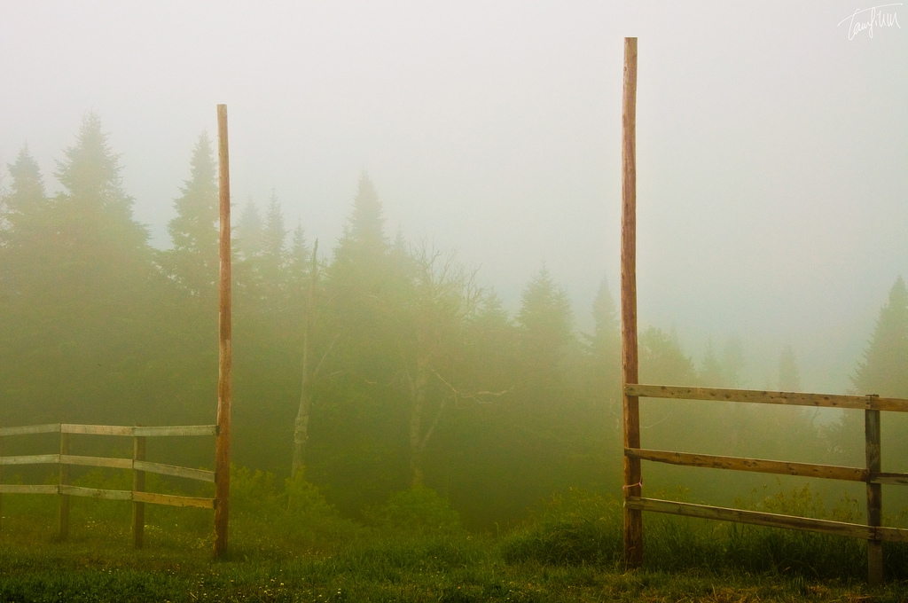 Photo: TMAB2003, Flickr