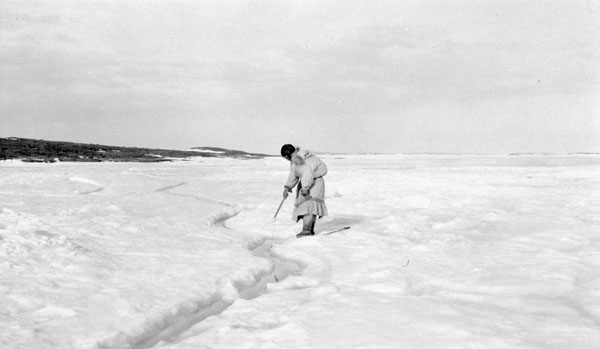 Photo: R. S. Finnie, Bibliothèque et Archives Canada