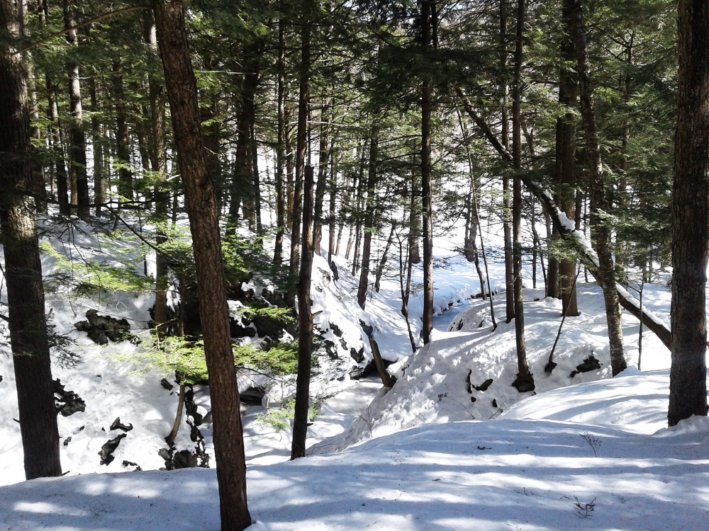 Des randonnées relaxes dans les plus beaux sentiers. Photo: Facebook Les Sentiers de l'Estrie Inc.