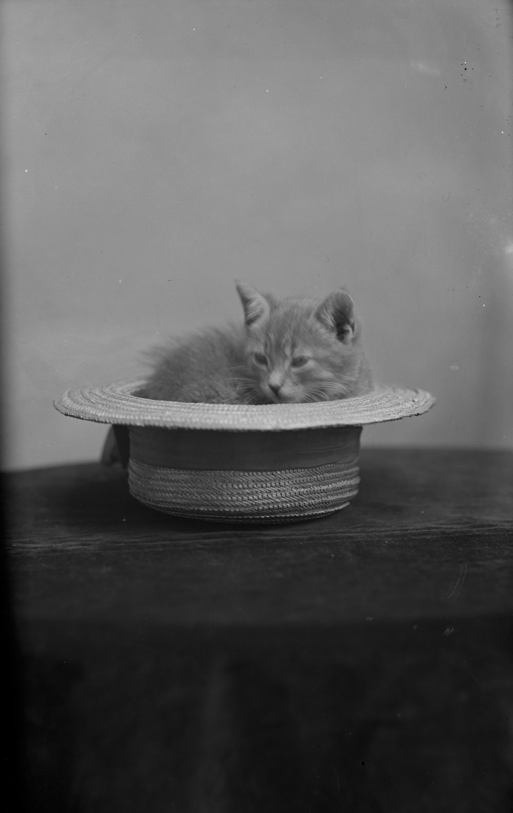 Photo: Topley Studio. Bibliothèque et Archives Canada