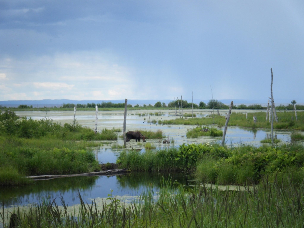 Photo: Facebook Parc national de la Pointe-Taillon