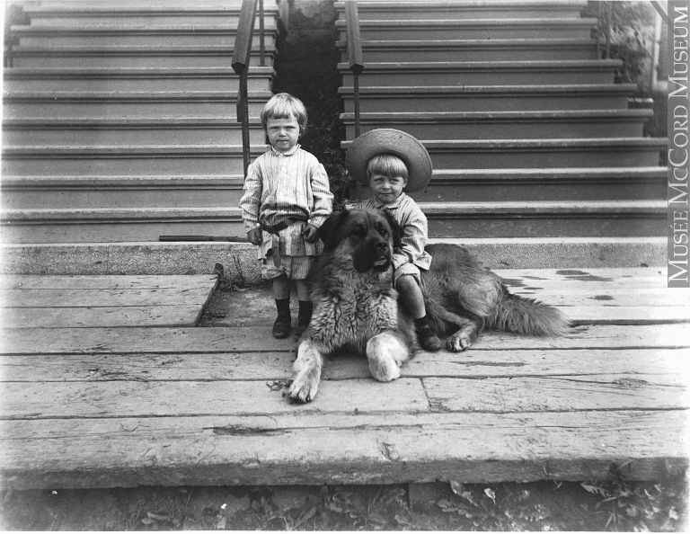 Photo: Alfred Walter Roper. Don de Mr. Vennor Roper. © Musée McCord