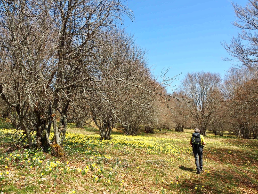 Notre guide et les fleurs! Photo: Marie-Julie Gagnon