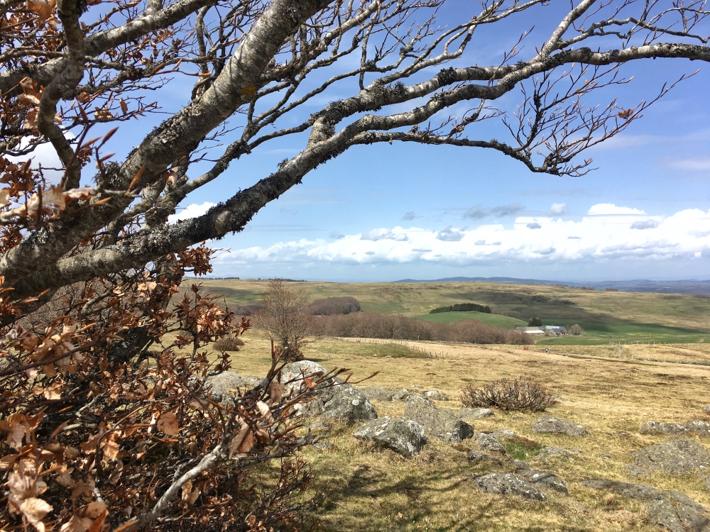 Un paysage qui donne envie d'y retourner. Photo: Marie-Julie Gagnon