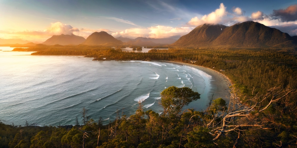 Photo: Facebook Tourism Tofino