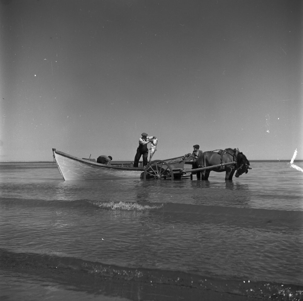 Photo: Histoire en photos de l'ONF. Bibliothèque et archives Canada