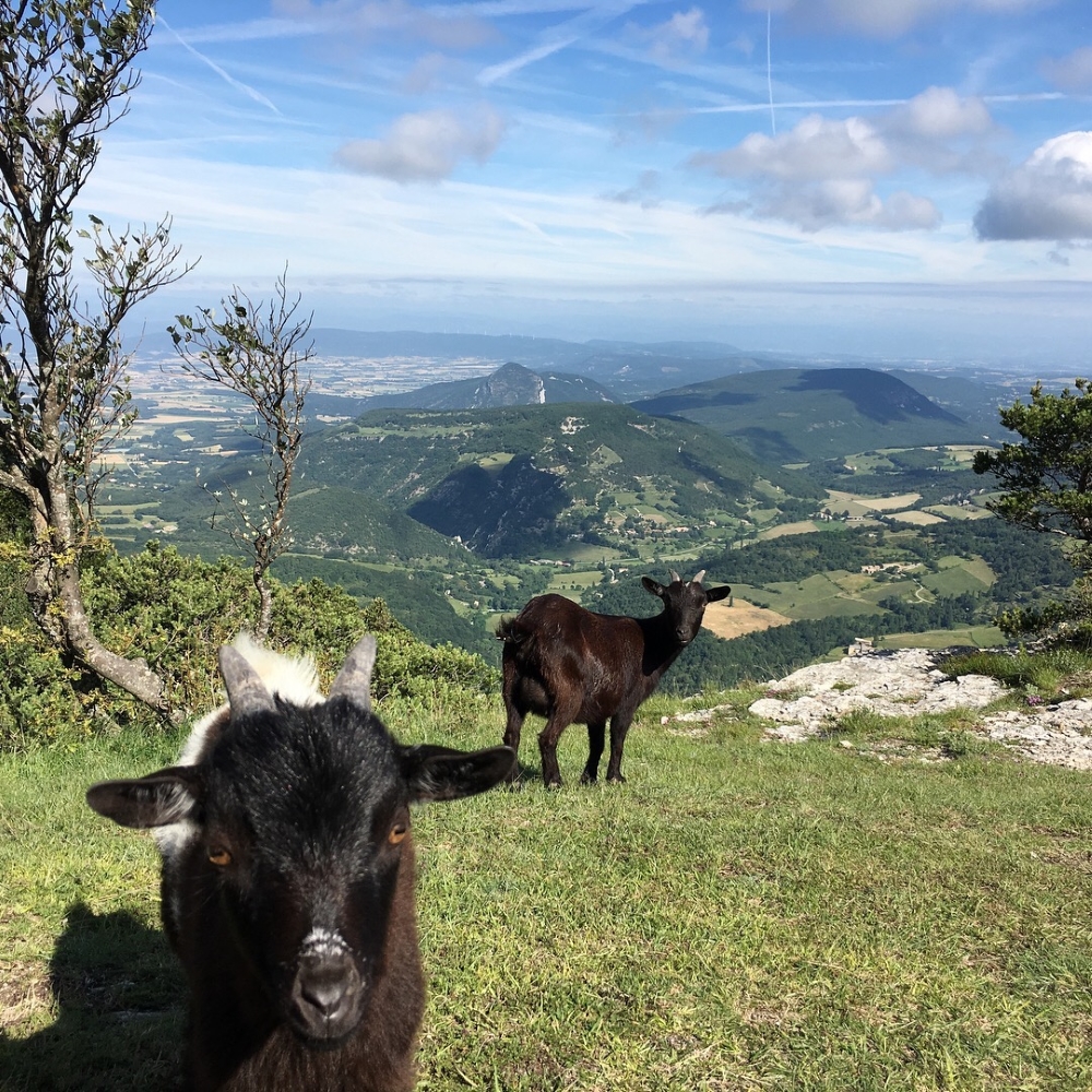 Le sommet de la montagne Saint Maurice offre une vue magnifique sur le massif du Vercors. Photo: Marie-Julie Gagnon