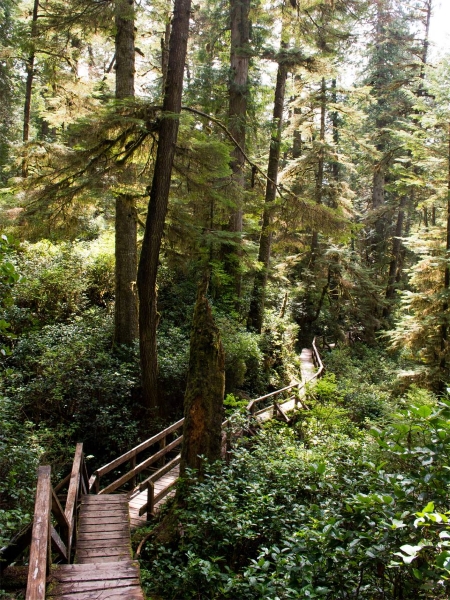 Photo: Facebook Réserve de parc national Pacific Rim