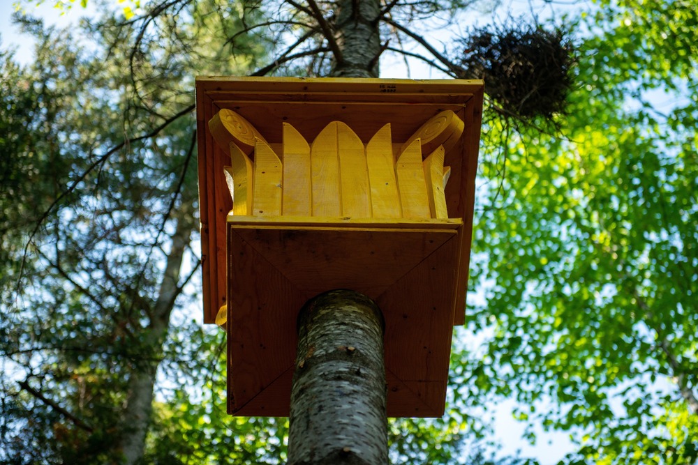 © 2018, Martin Bond, Jardins de Métis/Reford Gardens