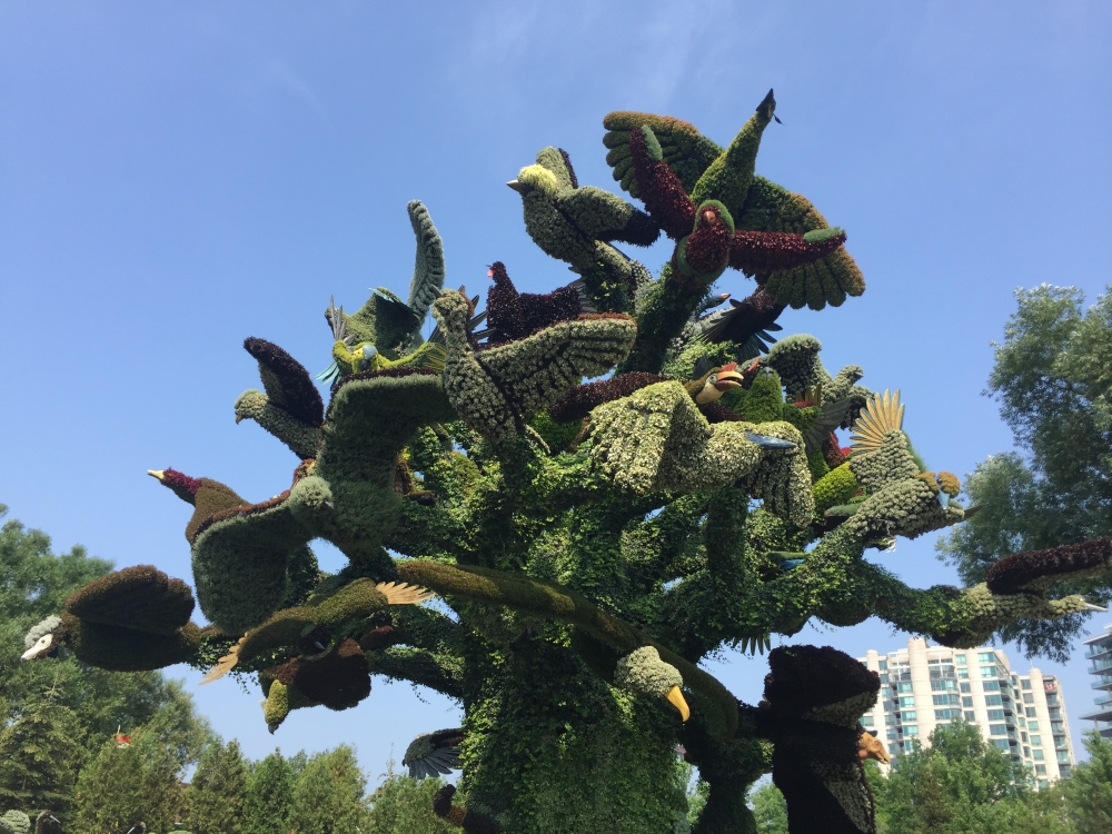 L’arbre aux oiseaux, créé pour les Mosaïcultures de Montréal en 2013. Photo: Claude Deschênes